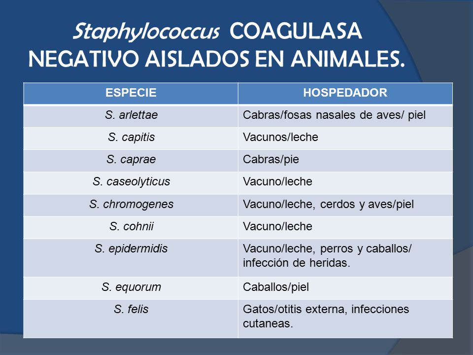 infección de la piel por estafilococos caprae